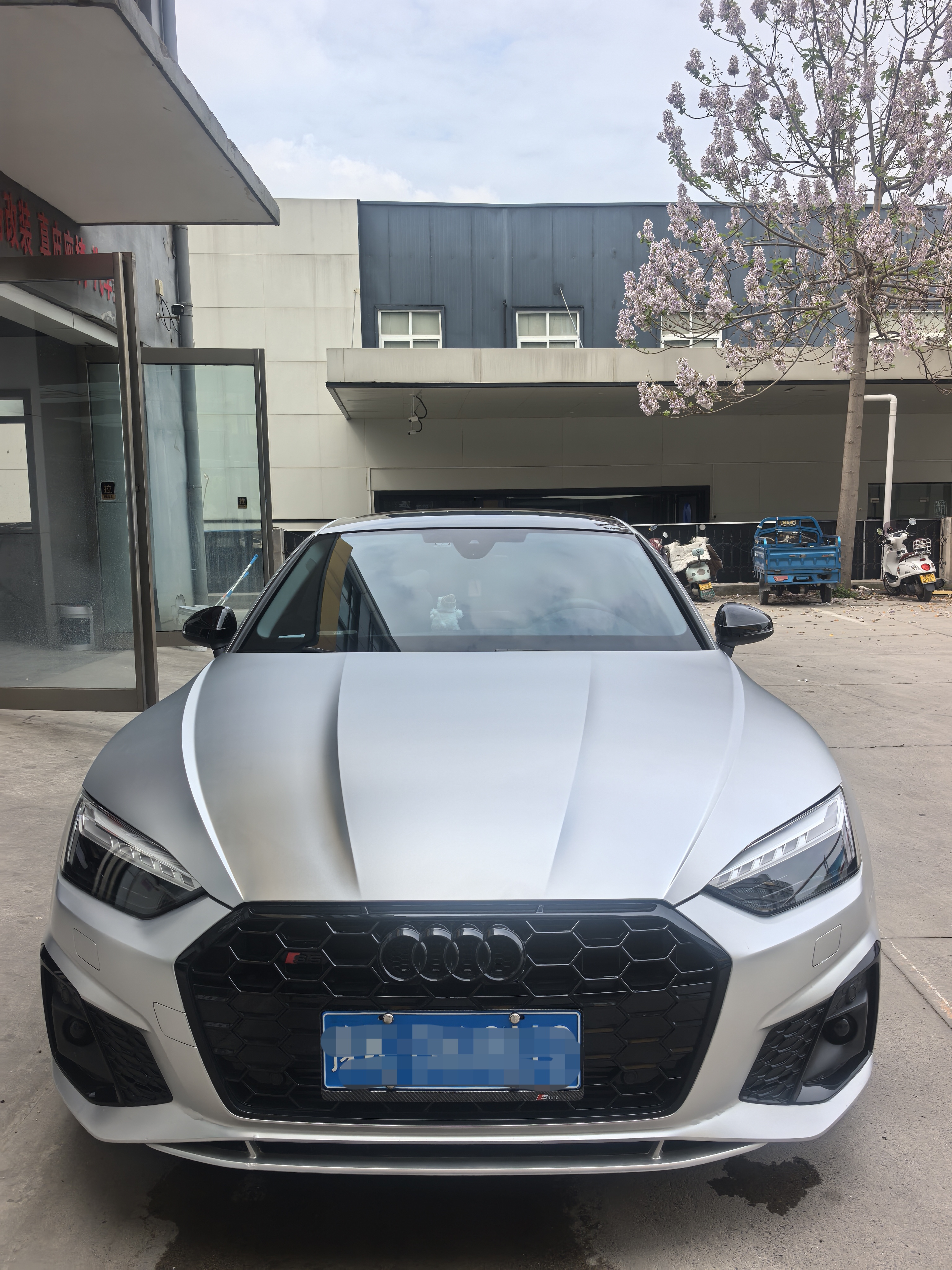 龙恺